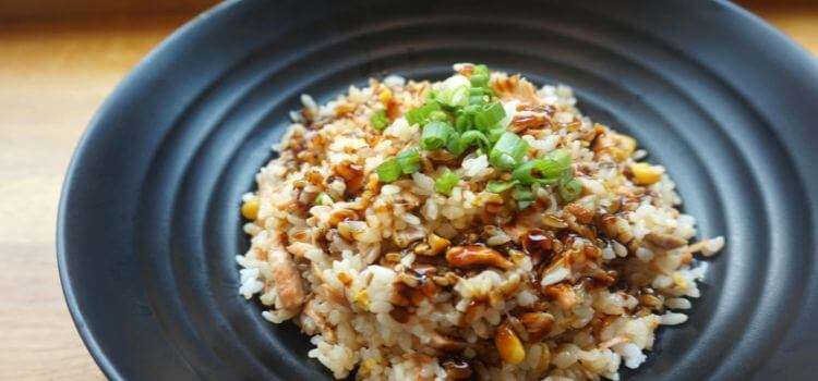 Flavor Fusion Electric Pressure Cooker Fried Rice Tips