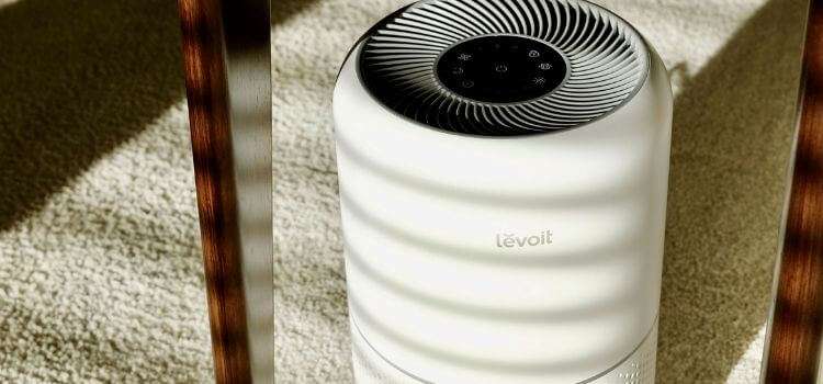 How to effectively clean Levitt air purifier for optimal performance