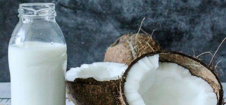 Can I use coconut cream instead of coconut milk?