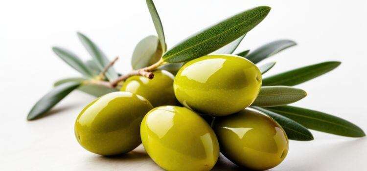 Full Details How much weight can you lose with olive oil