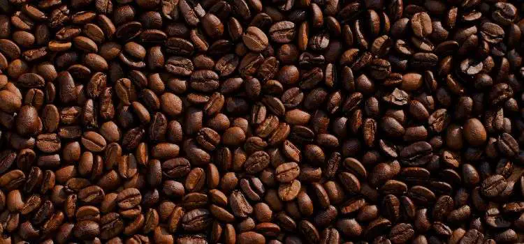 Best health benefits of matcha vs coffee