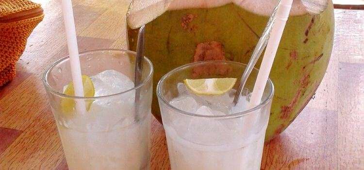 Full Details Coconut milk vs coconut cream for curry