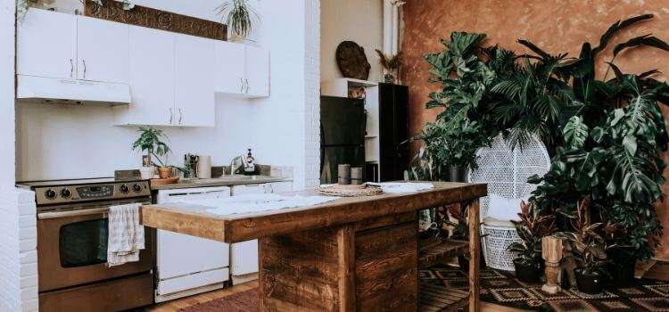 Best Plants for Above Kitchen Cabinets