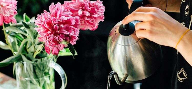 Exploring the Healthiest Kettle Options for Boiling Water