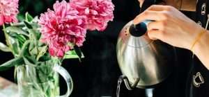 Unveiling the All-Clad Stainless Steel Tea Kettle