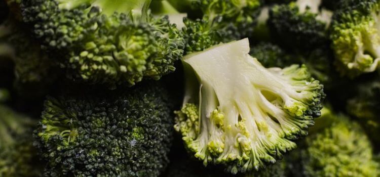 Can rabbits eat raw broccoli