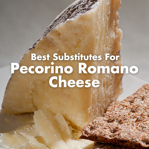 Substitute for Pecorino Cheese